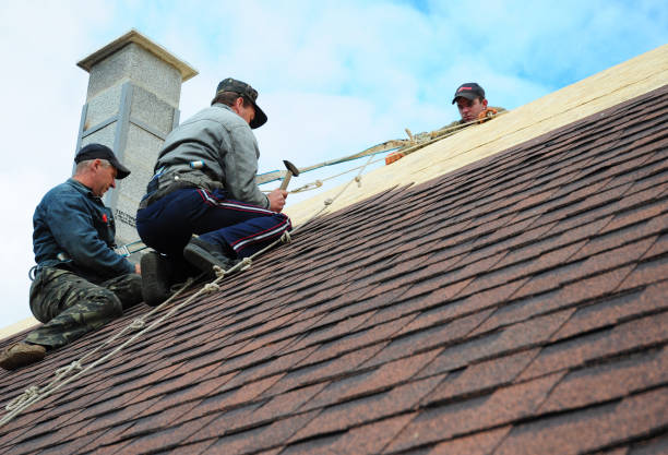 Trusted Sierra Ridge, CO Roofing Contractor Experts